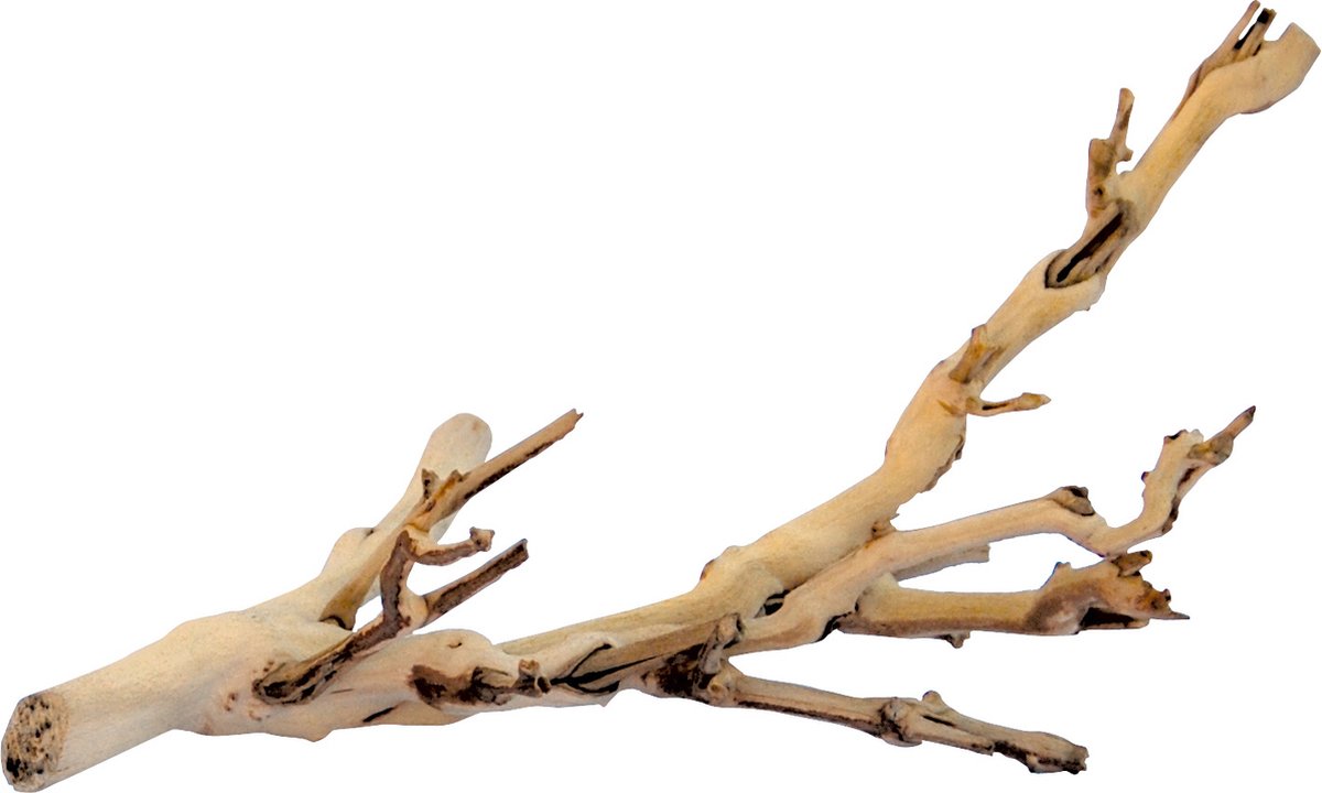 Exo Terra - natuurlijke decoratie - reptielen - ex forest branch l/60cm - 1st-0
