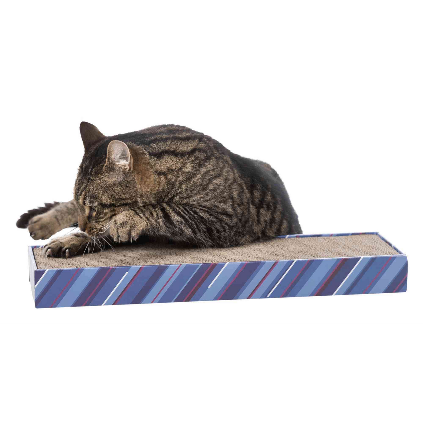 Trixie 108516 Macska kaparófa karomélező karton 48 × 5 × 13 cm-0