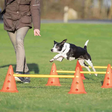Trixie Kutya Agility Akadályszett – 3 részes