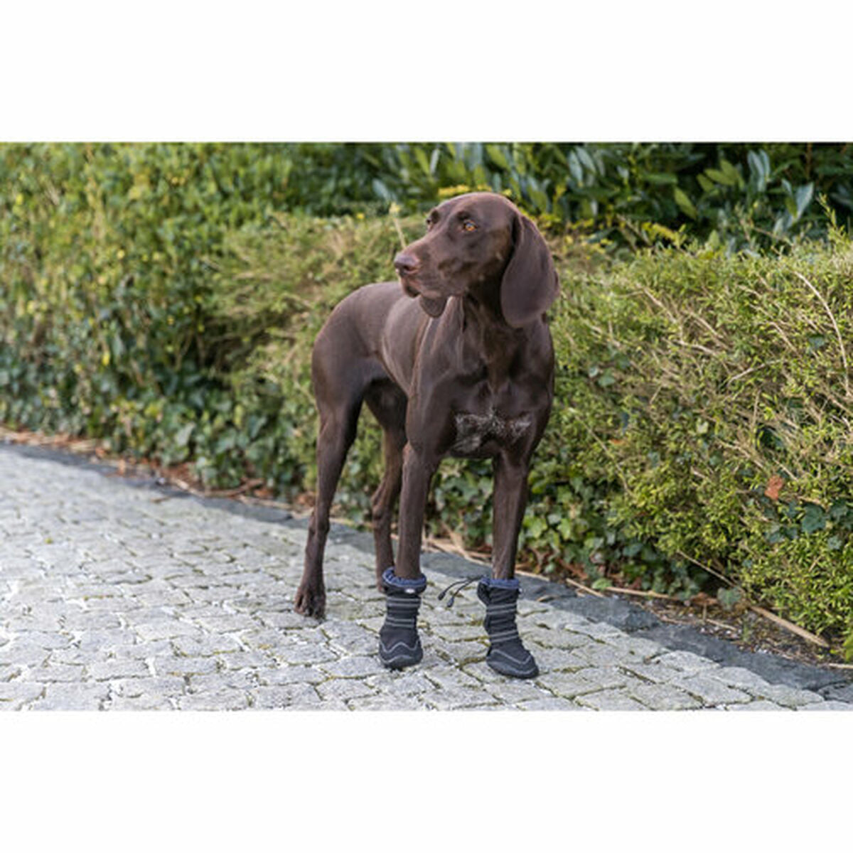 Dog shoes Trixie 19410 Black