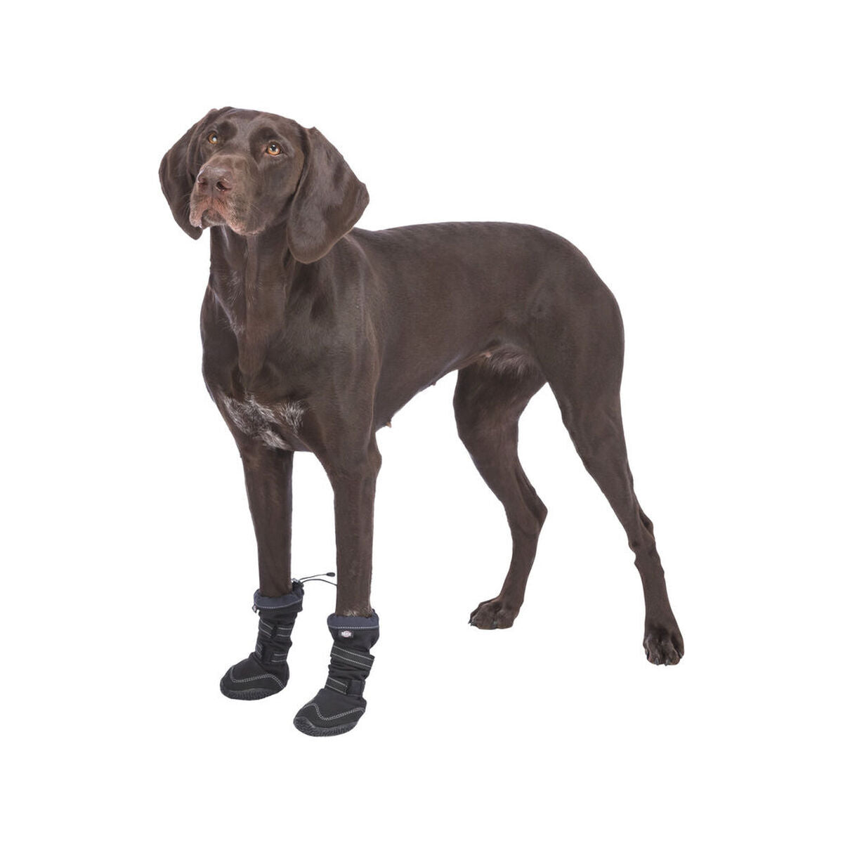 Dog shoes Trixie 19410 Black