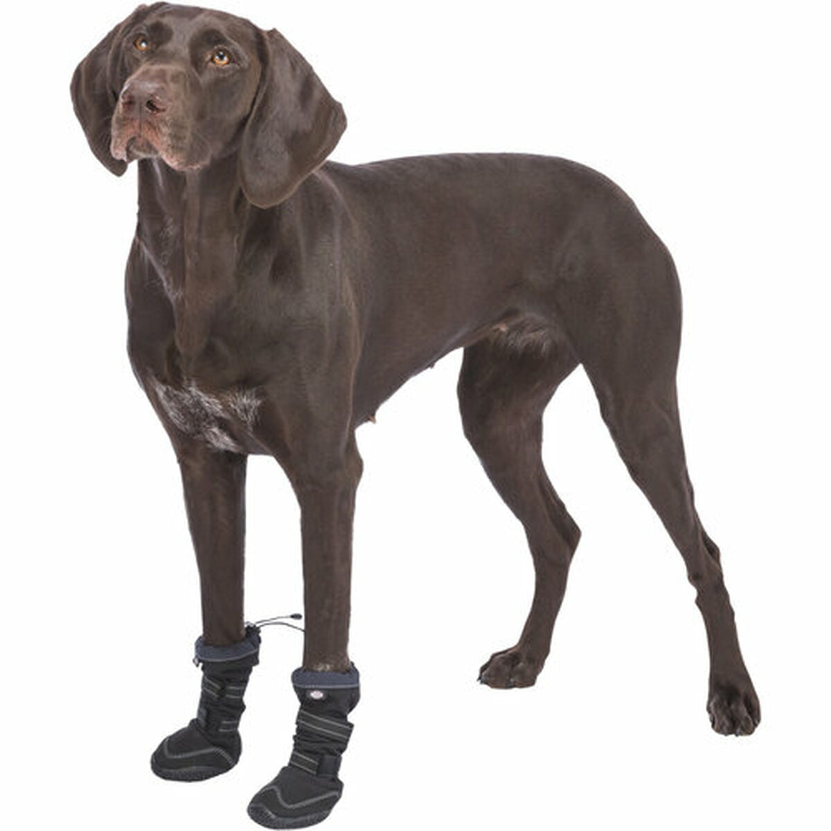 Dog shoes Trixie 19410 Black