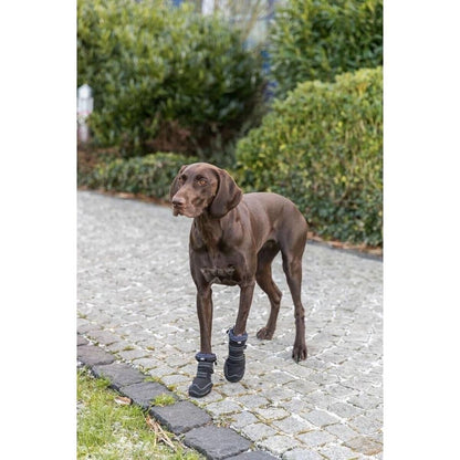 Dog shoes Trixie 19410 Black