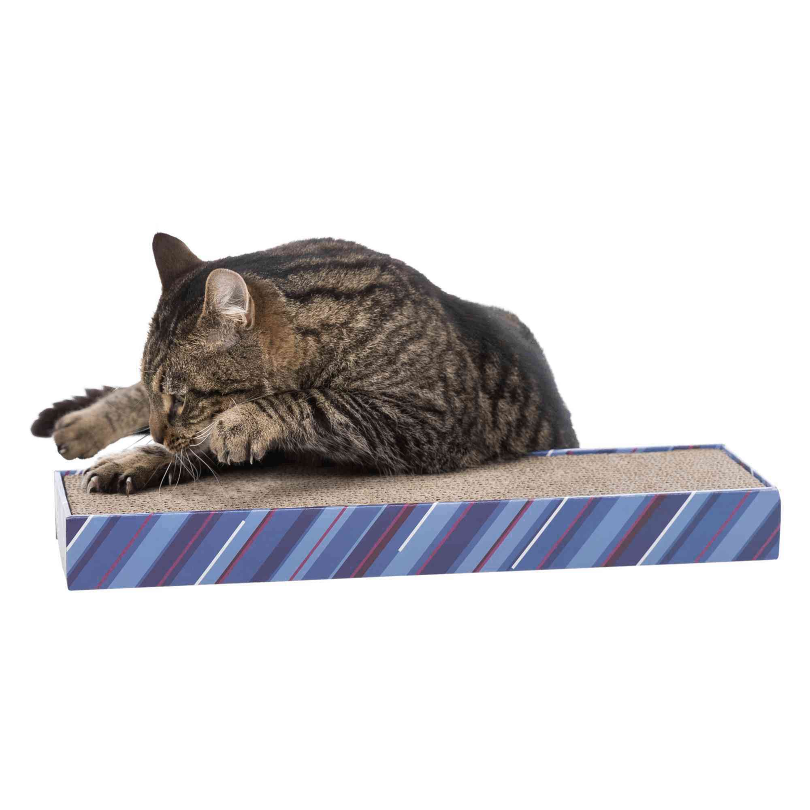 Trixie 108516 Macska kaparófa karomélező karton 48 × 5 × 13 cm-0