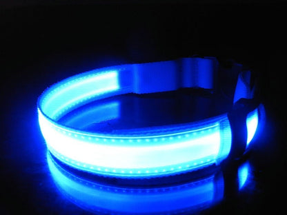 LED kutya nyakörv világító kutyanyakörv-1