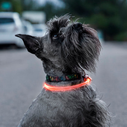 LED nyakörv háziállatoknak
