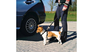 Trixie kutya autós heveder biztonsági övvel, fekete, 70-90 cm